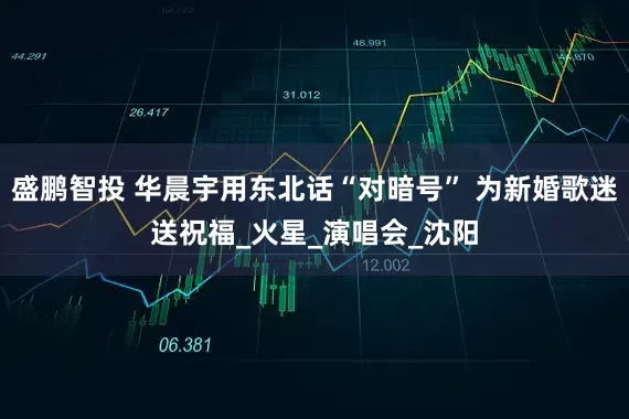 盛鹏智投 华晨宇用东北话“对暗号” 为新婚歌迷送祝福_火星_演唱会_沈阳