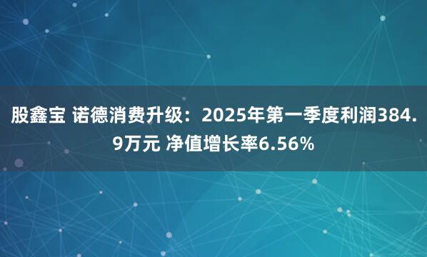股鑫宝 诺德消费升级：2025年第一季度利润384.9万元 净值增长率6.56%