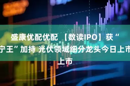 盛康优配优配 【数读IPO】获“宁王”加持 光伏领域细分龙头今日上市