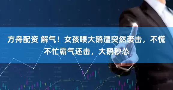 方舟配资 解气！女孩喂大鹅遭突然袭击，不慌不忙霸气还击，大鹅秒怂