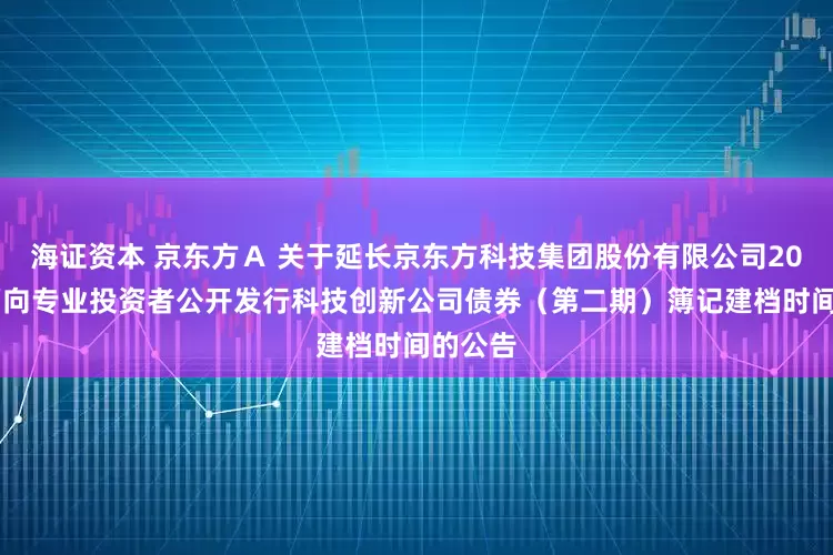 海证资本 京东方Ａ 关于延长京东方科技集团股份有限公司2025年面向专业投资者公开发行科技创新公司债券（第二期）簿记建档时间的公告