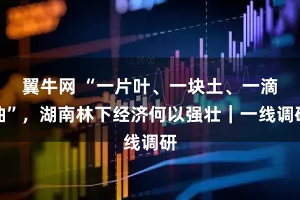 翼牛网 “一片叶、一块土、一滴油”，湖南林下经济何以强壮｜一线调研